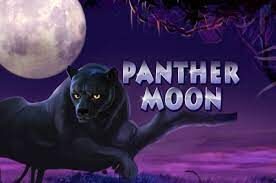 ฟีเจอร์พิเศษของเกมสล็อต XO Panther Moon