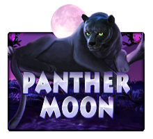 Panther Moon ทดลองเล่นสล็อต XO ใหม่มาแรงทดลองเล่นสล็อต XO ใหม่มาแรง