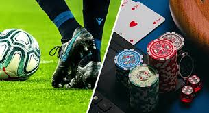 Everything You Need to Know About 77fb bet 16