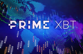 Unlock the Potential of Crypto Trading with PrimeXBT Hub