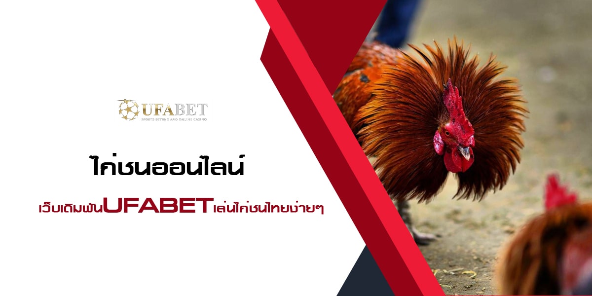 ไก่ชนออนไลน์ เว็บเดิมพัน UFABET เล่นไก่ชนไทยง่ายๆ